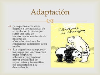 
Adaptación
 Para que los seres vivos
llegaran a la etapa actual de
su evolución tuvieron que
sufrir una serie de
transformaciones a través de
millones de
años, adecuándose a las
condiciones cambiantes de su
medio.
 Los organismos que poseían
los rasgos que los convertían
mejor adaptados
sobrevivieron y tuvieron
mayor posibilidad de
reproducirse y transmitían
esa característica a su
descendencia.
 