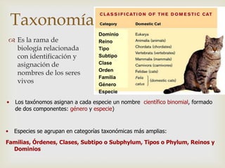 Taxonomía
Dominio
Reino
Tipo
Subtipo
Clase
Orden
Familia
Género
Especie
 Es la rama de
biología relacionada
con identificación y
asignación de
nombres de los seres
vivos
• Los taxónomos asignan a cada especie un nombre científico binomial, formado
de dos componentes: género y especie)
• Especies se agrupan en categorías taxonómicas más amplias:
Familias, Órdenes, Clases, Subtipo o Subphylum, Tipos o Phylum, Reinos y
Dominios
 