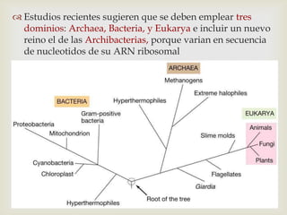 Estudios recientes sugieren que se deben emplear tres
dominios: Archaea, Bacteria, y Eukarya e incluir un nuevo
reino el de las Archibacterias, porque varian en secuencia
de nucleotidos de su ARN ribosomal
 