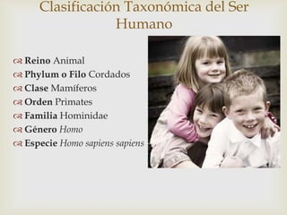 Clasificación Taxonómica del Ser
Humano
 Reino Animal
 Phylum o Filo Cordados
 Clase Mamíferos
 Orden Primates
 Familia Hominidae
 Género Homo
 Especie Homo sapiens sapiens
 
