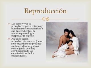 
Reproducción
 Los seres vivos se
reproducen por sí mismos y
heredan sus características a
sus descendientes, de
manera que se logra
perpetuar la especie.
 Algunos tienen
reproducción asexual (de un
solo organismo se produce
su descendencia) y otros
sexual (en la cual hay
combinación de las
características de los
progenitores).
 