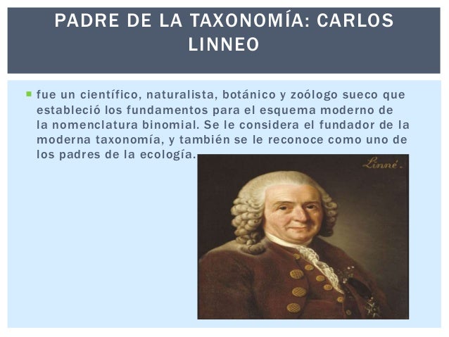 Taxonomia