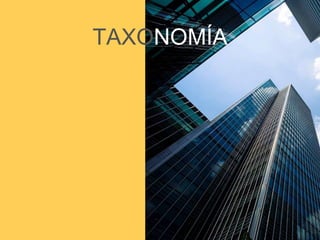 TAXONOMÍA
 