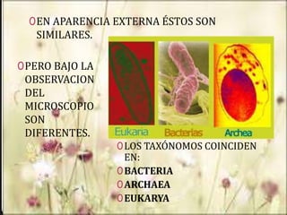 0EN APARENCIA EXTERNA ÉSTOS SON
SIMILARES.
0PERO BAJO LA
OBSERVACION
DEL
MICROSCOPIO
SON
DIFERENTES.
0LOS TAXÓNOMOS COINCIDEN
EN:
0BACTERIA
0ARCHAEA
0EUKARYA
 