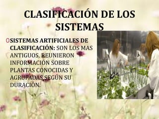 CLASIFICACIÓN DE LOS
SISTEMAS
0SISTEMAS ARTIFICIALES DE
CLASIFICACIÓN: SON LOS MAS
ANTIGUOS, REUNIERON
INFORMACIÓN SOBRE
PLANTAS CONOCIDAS Y
AGRUPADAS SEGÚN SU
DURACIÓN.
 