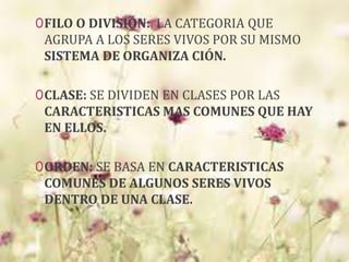 0FILO O DIVISIÓN: LA CATEGORIA QUE
AGRUPA A LOS SERES VIVOS POR SU MISMO
SISTEMA DE ORGANIZA CIÓN.
0CLASE: SE DIVIDEN EN CLASES POR LAS
CARACTERISTICAS MAS COMUNES QUE HAY
EN ELLOS.
0ORDEN: SE BASA EN CARACTERISTICAS
COMUNES DE ALGUNOS SERES VIVOS
DENTRO DE UNA CLASE.
 