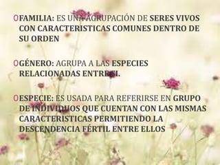 0FAMILIA: ES UNA AGRUPACIÓN DE SERES VIVOS
CON CARACTERISTICAS COMUNES DENTRO DE
SU ORDEN
0GÉNERO: AGRUPA A LAS ESPECIES
RELACIONADAS ENTRE SI.
0ESPECIE: ES USADA PARA REFERIRSE EN GRUPO
DE INDIVIDUOS QUE CUENTAN CON LAS MISMAS
CARACTERISTICAS PERMITIENDO LA
DESCENDENCIA FÉRTIL ENTRE ELLOS
 