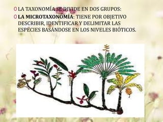 0 LA TAXONOMÍA SE DIVIDE EN DOS GRUPOS:
0 LA MICROTAXONOMÍA: TIENE POR OBJETIVO
DESCRIBIR, IDENTIFICAR Y DELIMITAR LAS
ESPECIES BASÁNDOSE EN LOS NIVELES BIÓTICOS.
 
