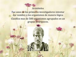 Aristóteles
Fue unos de los primeros investigadores intentar
dar nombre a los organismos de manera lógica
Clasifico mas de 500 organismos agrupados en un
grupos jerárquicos.
 