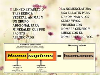 0 LINNEO ESTABLECIO
TRES REINOS:
VEGETAL, ANIMAL Y
UN GRUPO
ADICIONAL PARA
MINERALES, QUE FUE
PRONTO
ABANDONADO
0 LA NOMENCLATURA
USA EL LATIN PARA
DENOMINAR A LOS
SERES VIVOS,
PRIMERO CON
NOMBRE GENERO Y
LUEGO CON EL
NOMBRE ESPECIFICO.
 