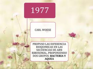 1977
CARL WOESE
PROPUSO LAS DIFERENCIA
BIOQUIMICAS EN LAS
SECUENCIAS DE ARN
RIBOSOMAL, PROPONIENDO
DOS GRUPOS: BACTERIA Y
AQUEA
 