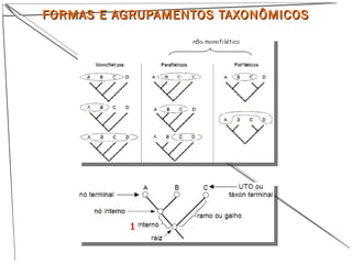 FORMAS E AGRUPAMENTOS TAXONÔMICOSFORMAS E AGRUPAMENTOS TAXONÔMICOS
 