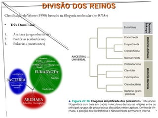 DIVISÃO DOS REINOSDIVISÃO DOS REINOS
Classificação deWoese (1990) baseado na filogenia molecular (no RNAr)
• Três Domínios:
1. Archaea (arqueobactérias)
2. Bactérias (eubactérias)
3. Eukarias (eucariontes)
 