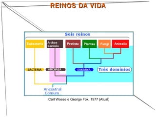 Carl Woese e George Fox, 1977 (Atual)
19
REINOS DA VIDAREINOS DA VIDA
 