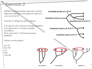 Exercício 2
(UFPB) O cladograma abaixo, apresenta as relações
filogenéticas hipotéticas entre grupos de espécies de
seres vivos (A até F).
Com base no cladograma, pode-se afirmar:
I.As espéciesA, B e C formam um grupo parafilético.
II.As espécies D, E e F formam um grupo
monofilético.
III.As espécies B, C e D formam um grupo
polifilético.
Está(ão) correta(s) apenas:
a) I e II.
b) I e III.
c) I.
d) II.
e) II e III.
Monofilético Monofilético Polifilético
 
