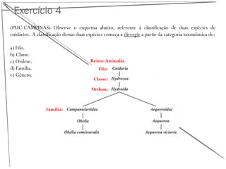 Exercício 4
(PUC-CAMPINAS) Observe o esquema abaixo, referente à classificação de duas espécies de
cnidários. A classificação dessas duas espécies começa a divergir a partir da categoria taxonômica de:
a) Filo.
b) Classe.
c) Ordem.
d) Família.
e) Gênero.
Reino: Animalia
Filo:
Classe:
Ordem:
Família:
 