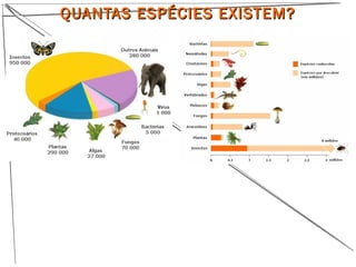 QUANTAS ESPÉCIES EXISTEM?QUANTAS ESPÉCIES EXISTEM?
 