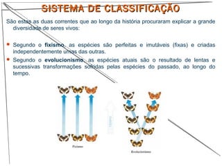 SISTEMA DE CLASSIFICAÇÃOSISTEMA DE CLASSIFICAÇÃO
São estas as duas correntes que ao longo da história procuraram explicar a grande
diversidade de seres vivos:
 Segundo o fixismo, as espécies são perfeitas e imutáveis (fixas) e criadas
independentemente umas das outras.
 Segundo o evolucionismo, as espécies atuais são o resultado de lentas e
sucessivas transformações sofridas pelas espécies do passado, ao longo do
tempo.
 