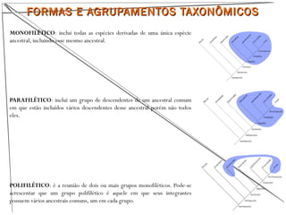 FORMAS E AGRUPAMENTOS TAXONÔMICOSFORMAS E AGRUPAMENTOS TAXONÔMICOS
MONOFILÉTICO: inclui todas as espécies derivadas de uma única espécie
ancestral, incluindo esse mesmo ancestral.
PARAFILÉTICO: inclui um grupo de descendentes de um ancestral comum
em que estão incluídos vários descendentes desse ancestral porém não todos
eles.
POLIFILÉTICO: é a reunião de dois ou mais grupos monofiléticos. Pode-se
acrescentar que um grupo polifilético é aquele em que seus integrantes
possuem vários ancestrais comuns, um em cada grupo.
 