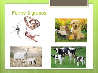 Forme 3 grupos