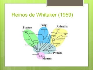 Reinos de Whitaker (1959)
