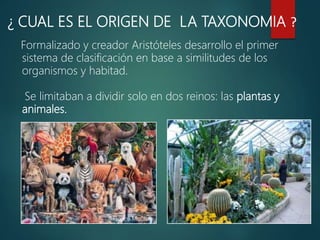 ¿ CUAL ES EL ORIGEN DE LA TAXONOMIA ?
Formalizado y creador Aristóteles desarrollo el primer
sistema de clasificación en base a similitudes de los
organismos y habitad.
Se limitaban a dividir solo en dos reinos: las plantas y
animales.
 