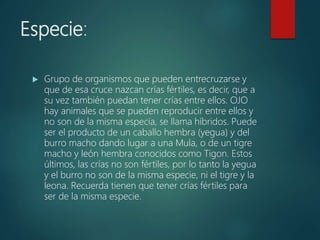 Especie:
 Grupo de organismos que pueden entrecruzarse y
que de esa cruce nazcan crías fértiles, es decir, que a
su vez también puedan tener crías entre ellos. OJO
hay animales que se pueden reproducir entre ellos y
no son de la misma especia, se llama híbridos. Puede
ser el producto de un caballo hembra (yegua) y del
burro macho dando lugar a una Mula, o de un tigre
macho y león hembra conocidos como Tigon. Estos
últimos, las crías no son fértiles, por lo tanto la yegua
y el burro no son de la misma especie, ni el tigre y la
leona. Recuerda tienen que tener crías fértiles para
ser de la misma especie.
 