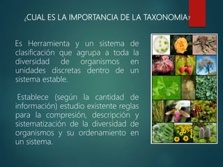 ¿CUAL ES LA IMPORTANCIA DE LA TAXONOMIA?
Es Herramienta y un sistema de
clasificación que agrupa a toda la
diversidad de organismos en
unidades discretas dentro de un
sistema estable.
Establece (según la cantidad de
información) estudio existente reglas
para la compresión, descripción y
sistematización de la diversidad de
organismos y su ordenamiento en
un sistema.
 