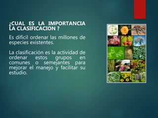 ¿CUAL ES LA IMPORTANCIA
LA CLASIFICACION ?
Es difícil ordenar las millones de
especies existentes.
La clasificación es la actividad de
ordenar estos grupos en
comunes o semejantes para
mejorar el manejo y facilitar su
estudio.
 