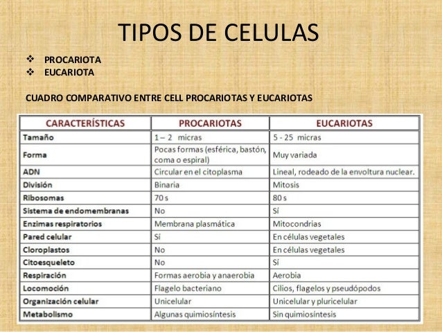 Dominios Y Los Reinos Naturales