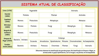 SISTEMA ATUAL DE CLASSIFICAÇÃO
 