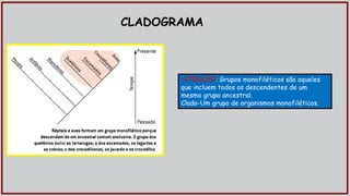 CLADOGRAMA
ATENÇÃO: Grupos monofiléticos são aqueles
que incluem todos os descendentes de um
mesmo grupo ancestral.
Clado-Um grupo de organismos monofiléticos.
 