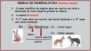 • Ex. – Sus domesticus
Gênero
Epíteto específico
• Ex. – Canis lupus
• Ex. – Canis aureus
REGRAS DE NOMENCLATURA (Sistema lineano)
1. O nome científico da espécie deve ser escrito em latim e
destacado do texto (negrito,grifado ou itálico)
2. A espécie é binomial
3. O 1º nome deve ser escrito com inicial maiúscula e o 2º nome
com inicial minúscula
ESPÉCIE
 