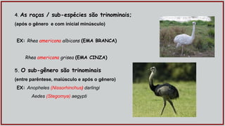 4. As raças / sub-espécies são trinominais;
(após o gênero e com inicial minúsculo)
EX: Rhea americana albicans (EMA BRANCA)
Rhea americana grisea (EMA CINZA)
5. O sub-gênero são trinominais
(entre parêntese, maiúsculo e após o gênero)
EX: Anopheles (Nissorhinchus) darlingi
Aedes (Stegomya) aegypti
 