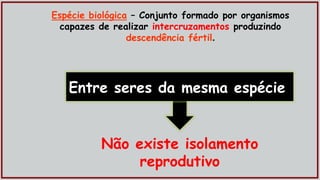 Espécie biológica – Conjunto formado por organismos
capazes de realizar intercruzamentos produzindo
descendência fértil.
Entre seres da mesma espécie
Não existe isolamento
reprodutivo
 