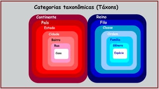 Categorias taxonômicas (Táxons)
Continente
País
Estado
Cidade
Bairro
Rua
Casa
Reino
Filo
Classe
Ordem
Família
Gênero
Espécie
 