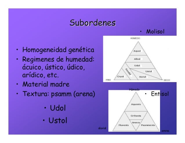 Taxonomia suelos2010 o.heredia