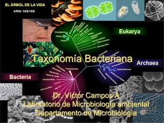 Taxonomía Bacteriana


        Dr. Víctor Campos A
Laboratorio de Microbiología ambiental
   Departamento de Microbiología
 