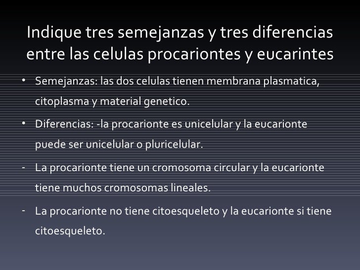Taxonomia ariel zycer