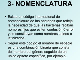 Taxonomia bacteriana Microbiologia