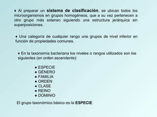 ♦ Al preparar un sistema de clasificación, se ubican todos los
microorganismos en grupos homogéneos, que a su vez pertenecen a
otro grupo más extenso siguiendo una estructura jerárquica sin
superposiciones.
♦ Una categoría de cualquier rango une grupos de nivel inferior en
función de propiedades comunes.
♦ En la taxonomía bacteriana los niveles o rangos utilizados son los
siguientes (en orden ascendente):
● ESPECIE
● GÉNERO
● FAMILIA
● ORDEN
● CLASE
● REINO
● DOMINIO
El grupo taxonómico básico es la ESPECIE
 