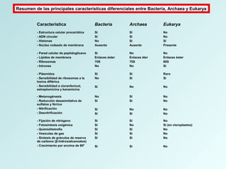 Característica Bacteria Archaea Eukarya
- Estructura celular procariótica
- ADN circular
- Histonas
- Núcleo rodeado de membrana
Sí
Sí
No
Ausente
Sí
Sí
Sí
Ausente
No
No
Sí
Presente
- Pared celular de peptidoglicano
- Lípidos de membrana
- Ribosomas
- Intrones
Sí
Enlaces éster
70S
No
No
Enlaces éter
70S
No
No
Enlaces éster
80S
Sí
- Plásmidos
- Sensibilidad de ribosomas a la
toxina diftérica
- Sensibilidad a cloranfenicol,
estreptomicina y kanamicina
Si
No
Sí
Sí
Sí
No
Raro
Sí
No
- Metanogénesis
- Reducción desasimilativa de
sulfatos y férrico
- Nitrificación
- Desnitrificación
No
Sí
Sí
Sí
Sí
Sí
No
Sí
No
No
No
No
- Fijación de nitrógeno
- Fotosíntesis oxigénica
- Quimiolitotrofía
- Vesículas de gas
- Sintesis de gránulos de reserva
de carbono (β-hidroxialcanoatos)
- Crecimiento por encima de 80º
Sí
Sí
Sí
Sí
Sí
Sí
Sí
No
Sí
Sí
Sí
Sí
No
Sí (en cloroplastos)
No
No
No
No
Resumen de las principales características diferenciales entre Bacteria, Archaea y Eukarya
 