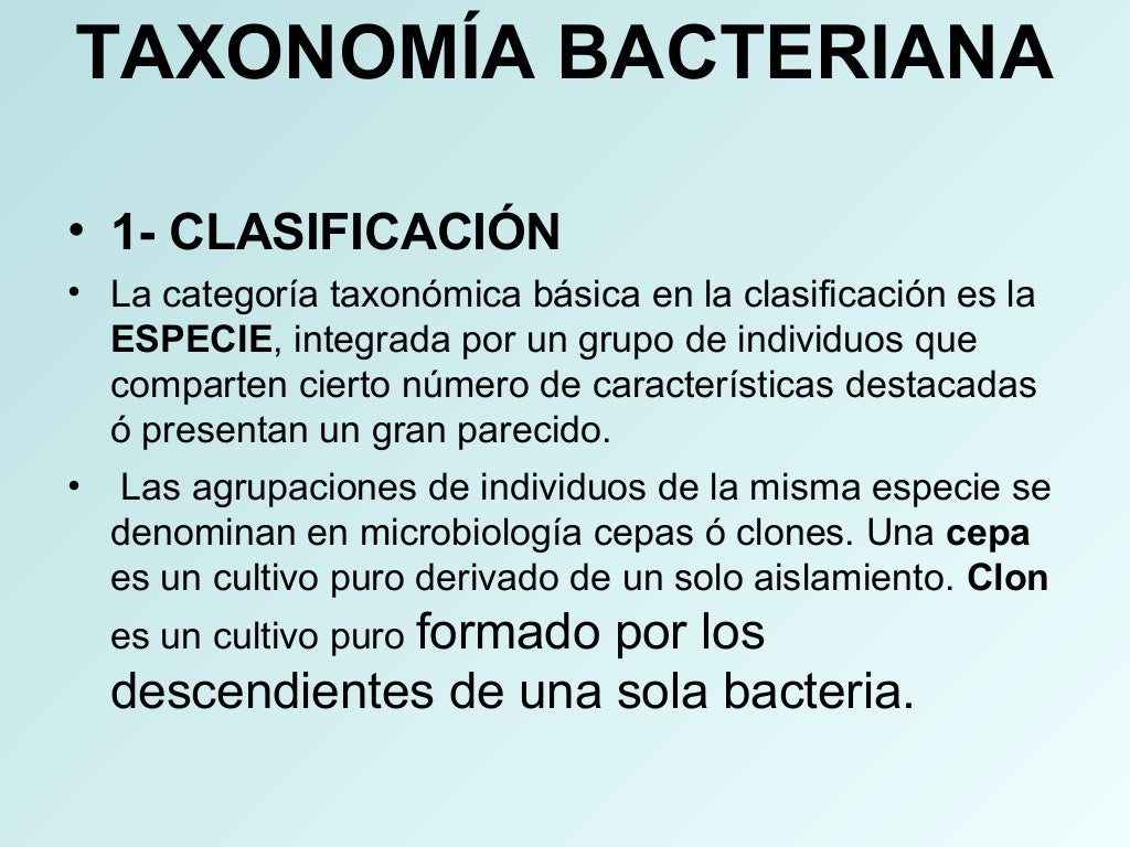 Taxonomia bacteriana ppt