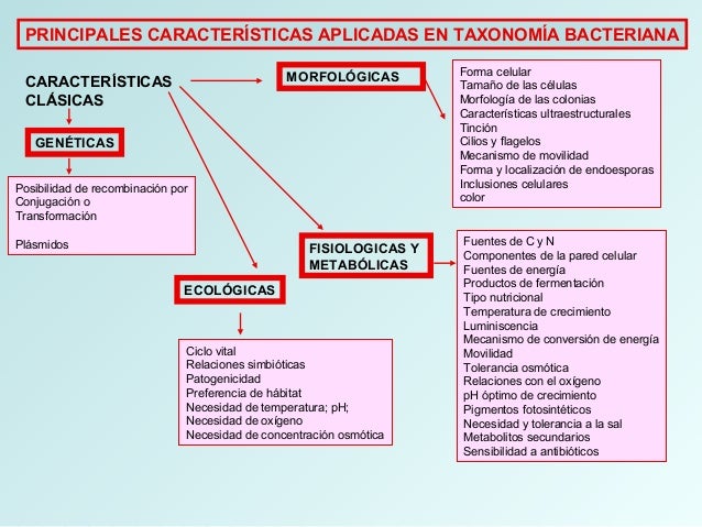 Taxonomia bacteriana ppt