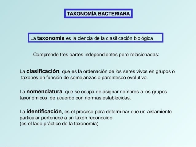 Taxonomia bacteriana ppt