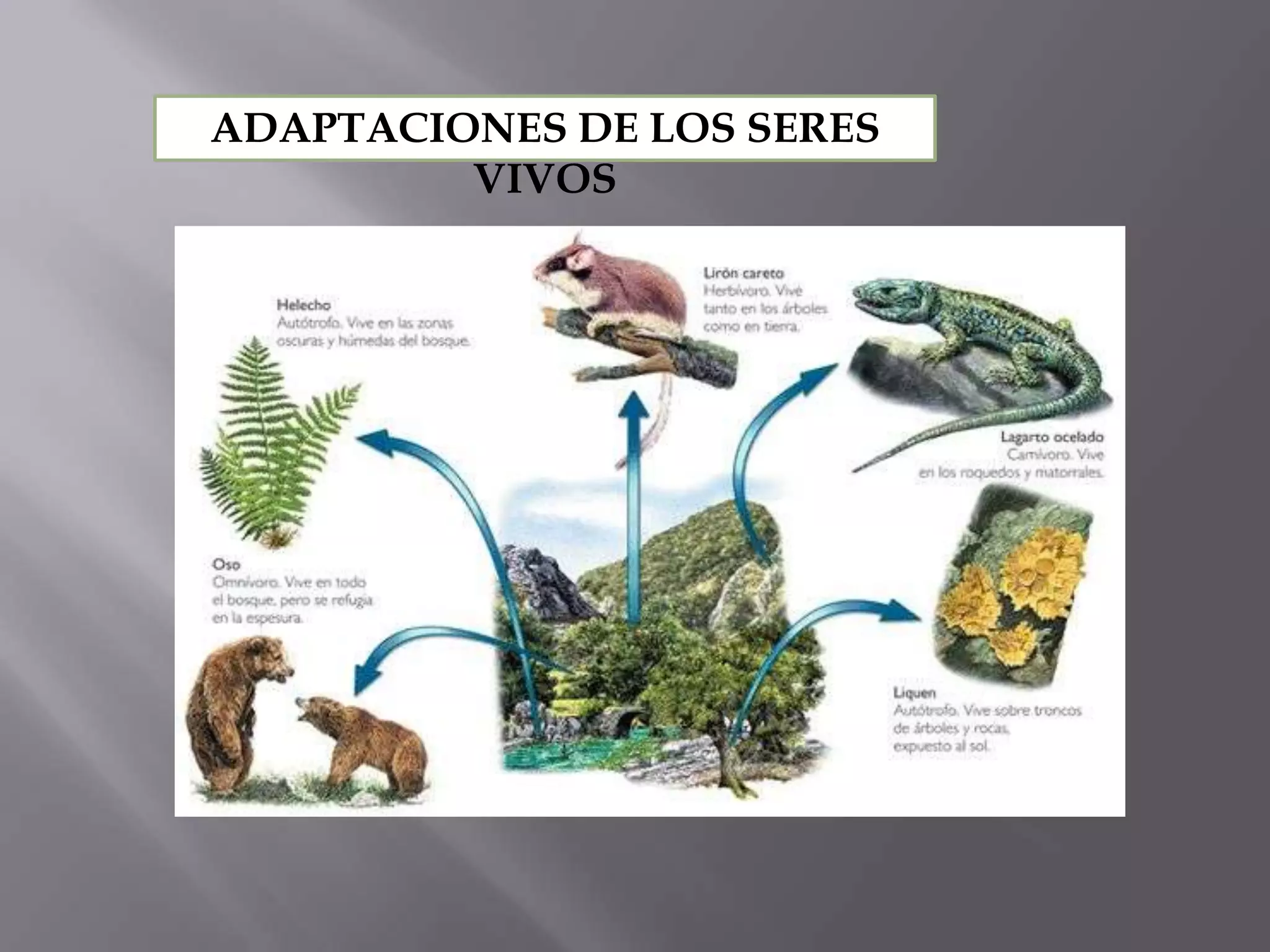 Taxonomia basica y reino monera | PPTX