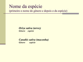 Nome da espécie
(primeiro o nome do gênero e depois o da espécie)
Oriza sativa (arroz)
Gênero espécie
Canabis sativa (maconha)
Gênero espécie
 