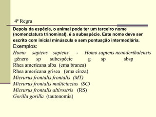 Depois da espécie, o animal pode ter um terceiro nome
(nomenclatura trinominal), é a subespécie. Este nome deve ser
escrito com inicial minúscula e sem pontuação intermediária.
Exemplos:
Homo sapiens sapiens - Homo sapiens neanderthalensis
gênero sp subespécie g sp sbsp
Rhea americana alba (ema branca)
Rhea americana grisea (ema cinza)
Micrurus frontalis frontalis (MT)
Micrurus frontalis multicinctus (SC)
Micrurus frontalis altirostris (RS)
Gorilla gorilla (tautonomia)
4ª Regra
 