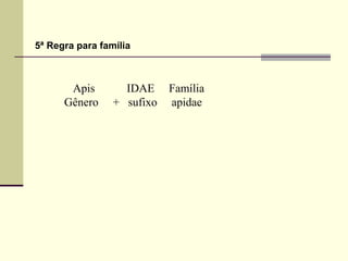 Apis IDAE Família
Gênero + sufixo apidae
5ª Regra para família
 