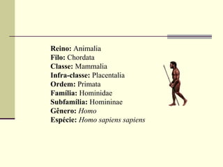 Reino: Animalia
Filo: Chordata
Classe: Mammalia
Infra-classe: Placentalia
Ordem: Primata
Família: Hominidae
Subfamília: Homininae
Gênero: Homo
Espécie: Homo sapiens sapiens
 